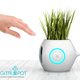 Image for article titled Digital Pot Lets Plants Tell You Their Demands